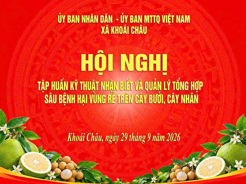 HỘI NGHỊ TẬP HUẤN KỸ THUẬT NHẬN BIẾT VÀ QUẢN LÝ TỔNG HỢP SÂU BỆNH HẠI VÙNG RỄ TRÊN CÂY BƯỞI, CÂY NHÃN