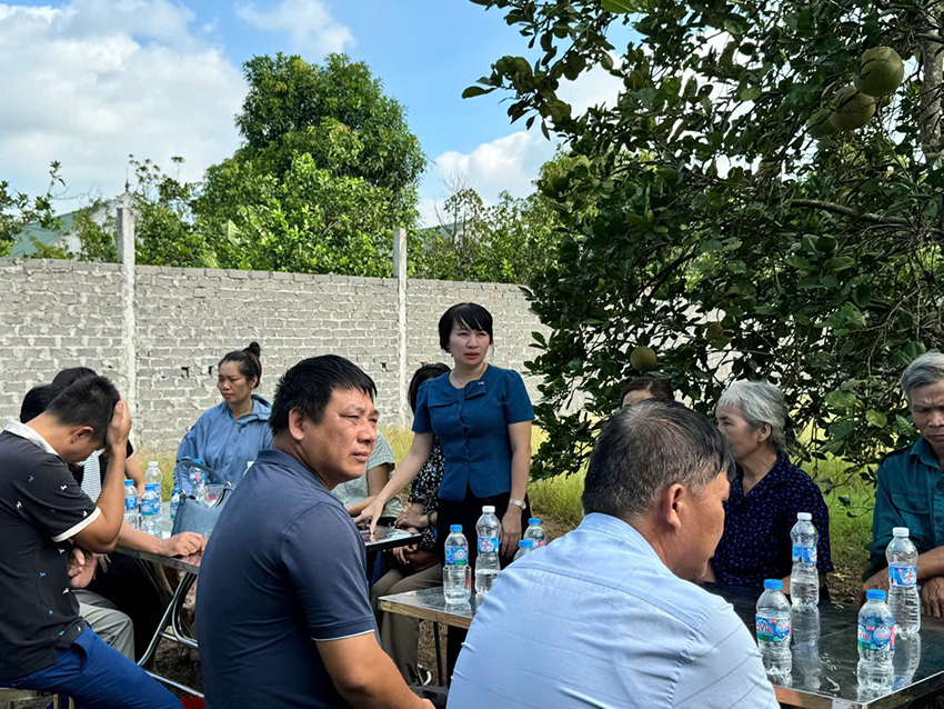 TIẾP TỤC THỰC HIỆN MÔ HÌNH ỨNG DỤNG GIẢI PHÁP SINH HỌC TRONG QUẢN LÝ SÂU BỆNH HẠI TRÊN CÂY BƯỞI VÀ CÂY NHÃN